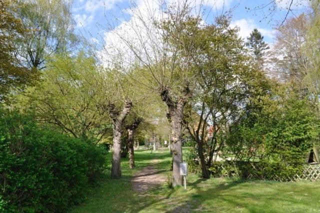Ferienwohnung Suedpark Schneverdingen Ngoại thất bức ảnh
